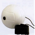 Volley Ball Yoyo Series Stress Reliever